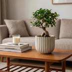 Fluted Stoneware Planter in Cream and Sage